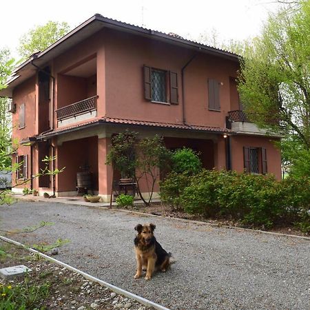 Gambisa Street Otel Soliera Dış mekan fotoğraf