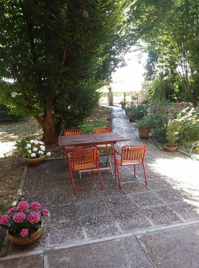 Gambisa Street Otel Soliera Dış mekan fotoğraf