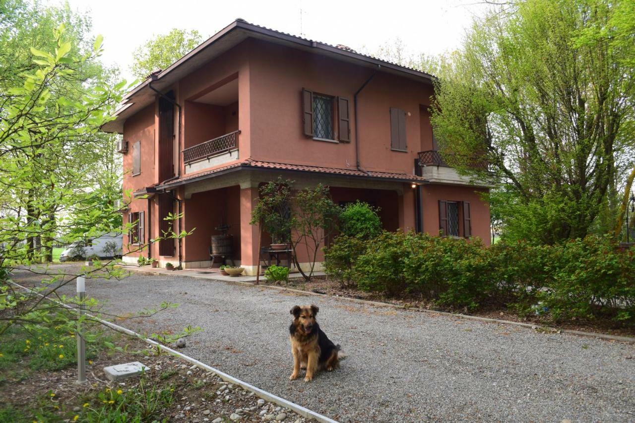 Gambisa Street Otel Soliera Dış mekan fotoğraf
